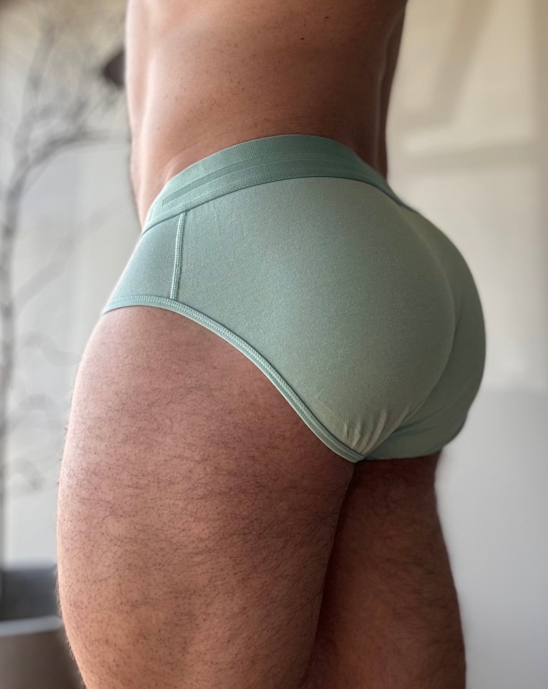 Briefs