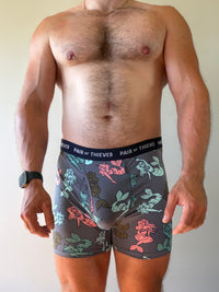 Pair of Thieves Boxer Briefs