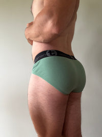 WildmanT Briefs