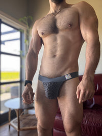 Modus Vivendi Briefs