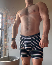Tommy Hilfiger Boxer Briefs