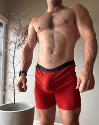 Hanes Boxer Briefs