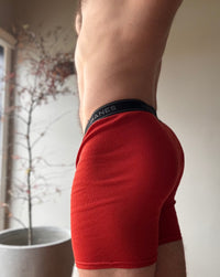 Hanes Boxer Briefs
