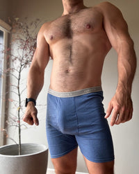 Hanes Boxer Briefs